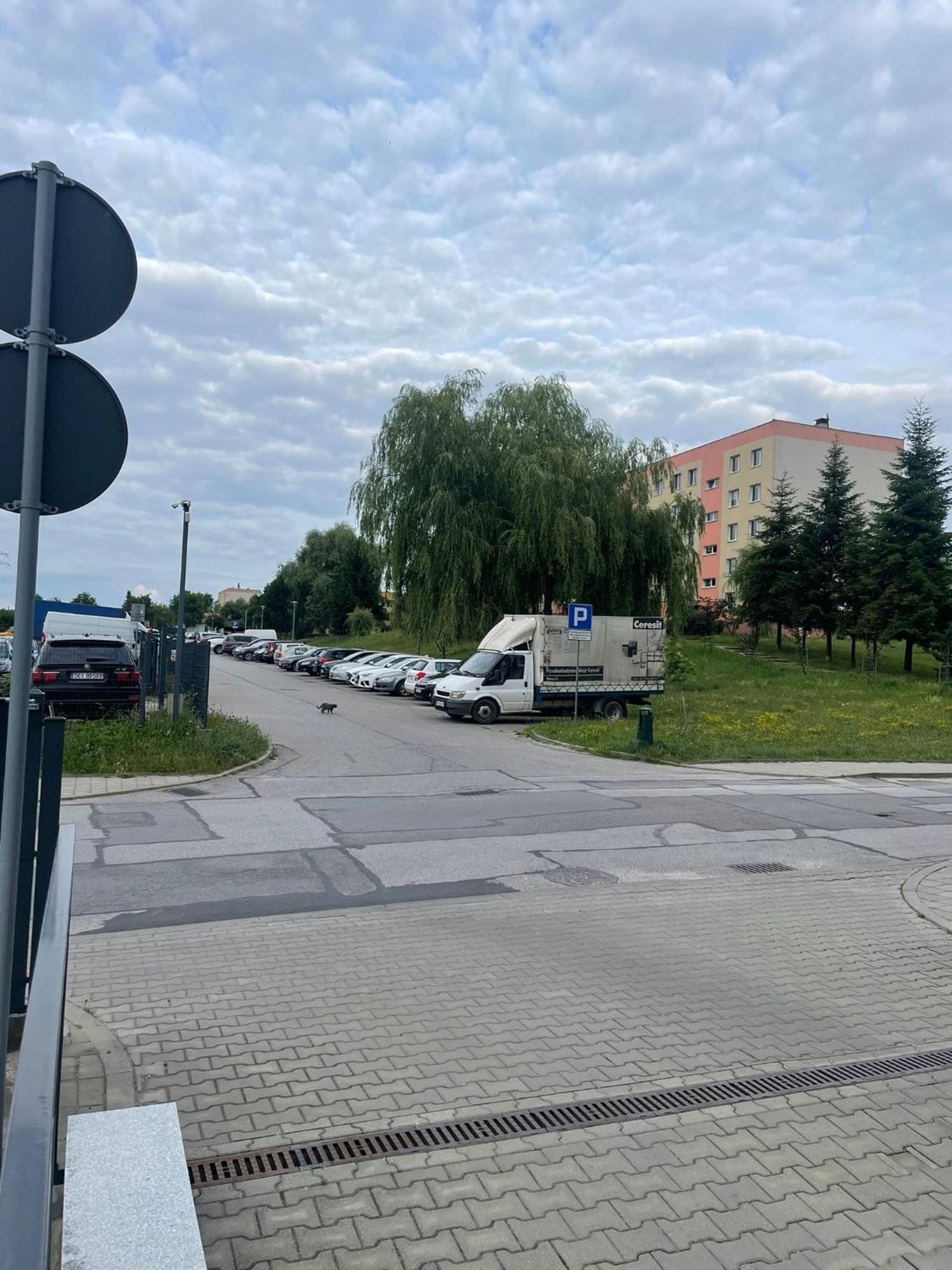 Panorama Z Bezplatnym Parkingiem Apartment *